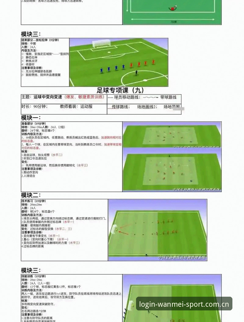 世界杯观赛签证难题操作指南——完美体育平台教你如何应对赛事入场障碍